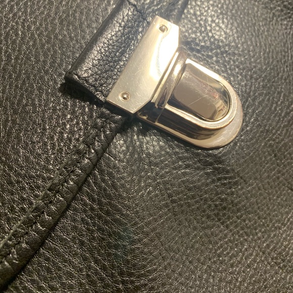 Early generation phoebe bag roots - Picture 4 of 6